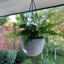 Grey Bonnie Hanging Basket